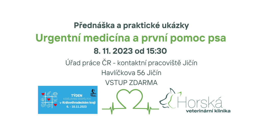 první pomoc psa jičín veterinatrutnov
